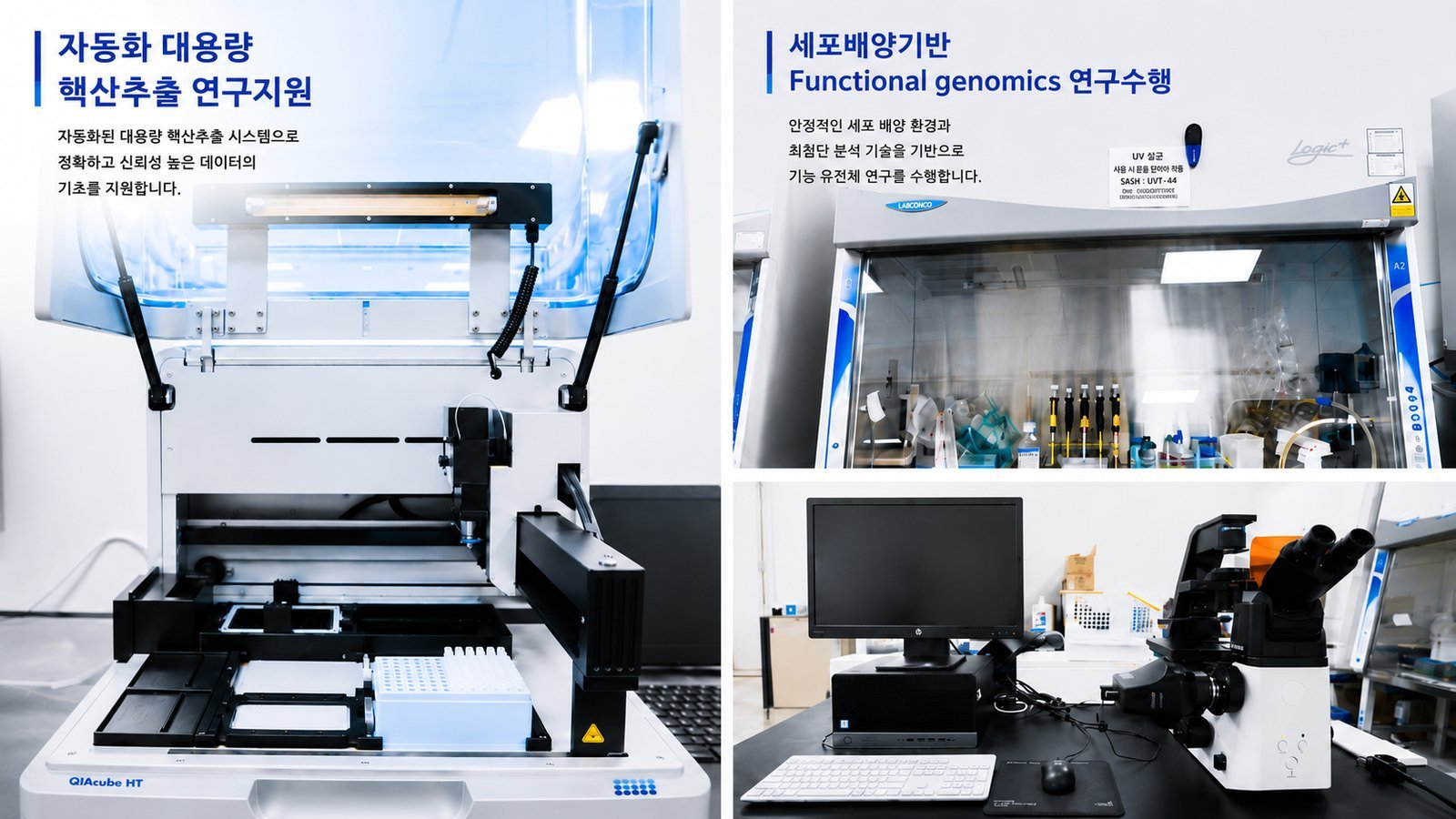 QIAcube HT 자동화 대용량 핵산추출과 세포배양 기반 Functional genomics 환경